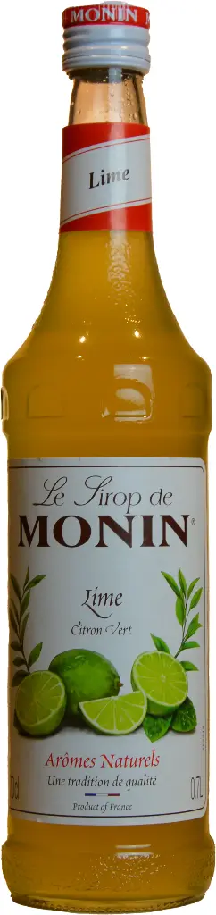 Monin Cranberry Airelles