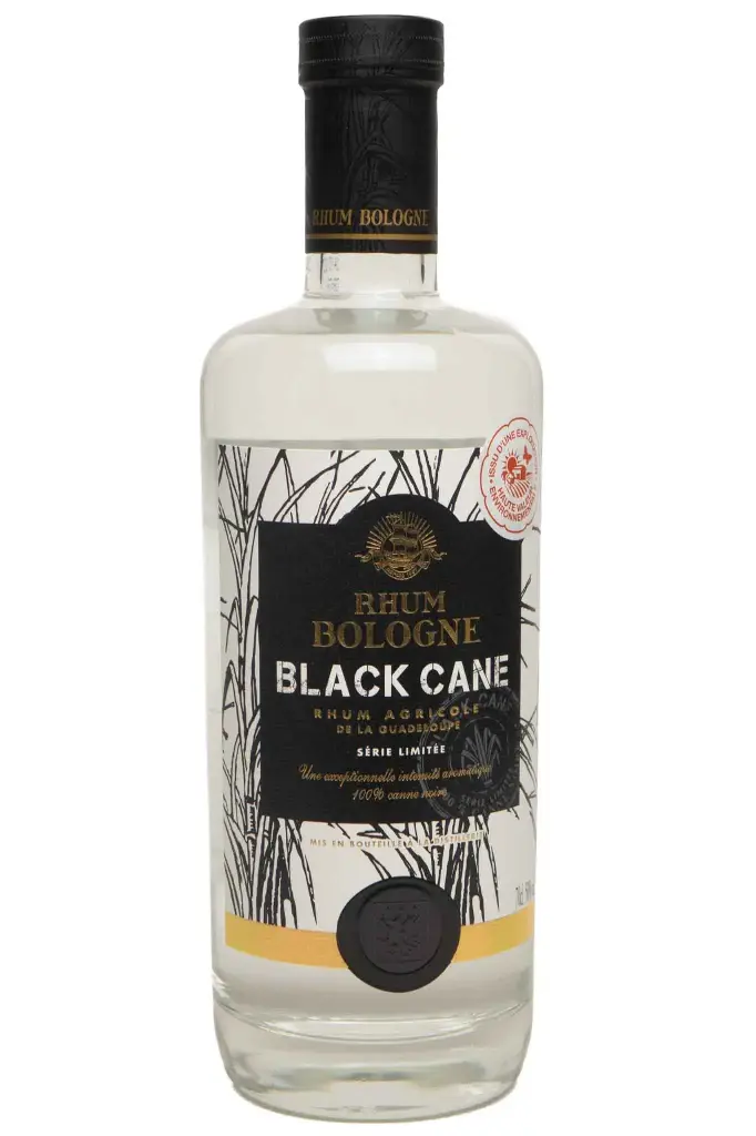 Bologne Black Cane - 50°