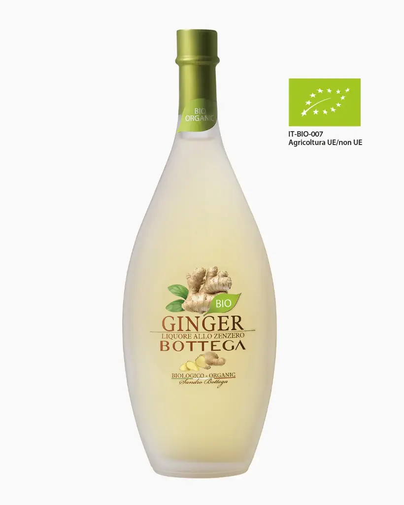 Liqueur Ginger Bottega - 20°