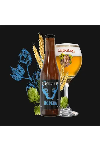 [56551] Lupulus Hopera
