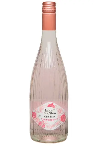 [272205] Spirit Garden Pomegranate Rose - 7,3°