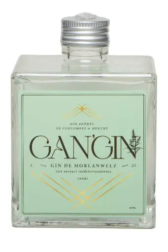 [301295] Gangin - 40°